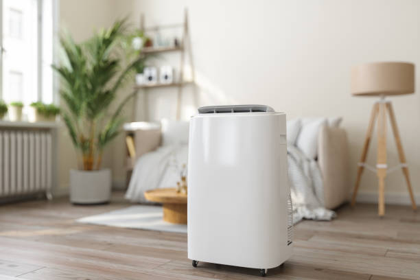 Best HVAC Air Duct Cleaning  in South Jacksonvle, IL